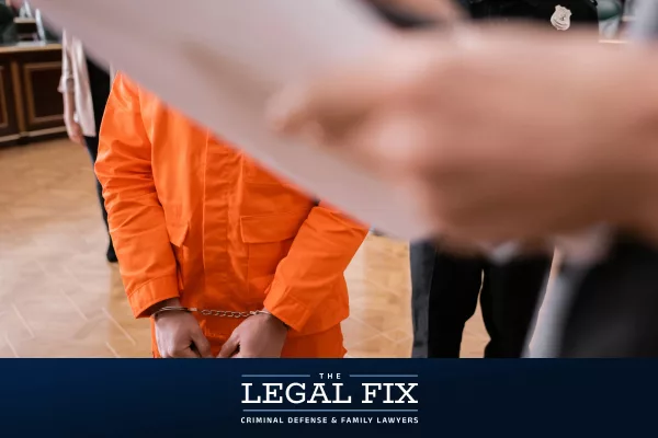 The Marion County Criminal Case Process